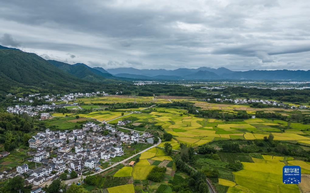 金苹果安全登录